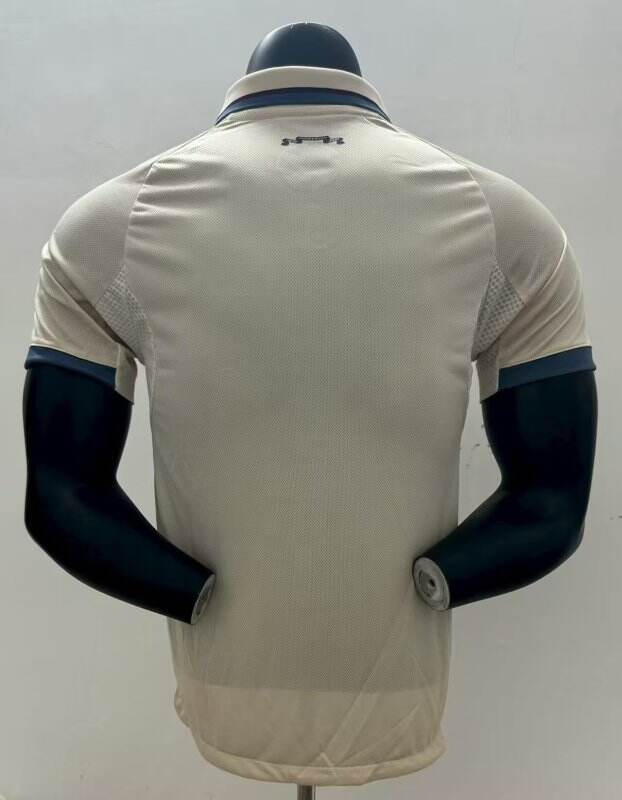 Ajax Third 25/26 Jersey Player