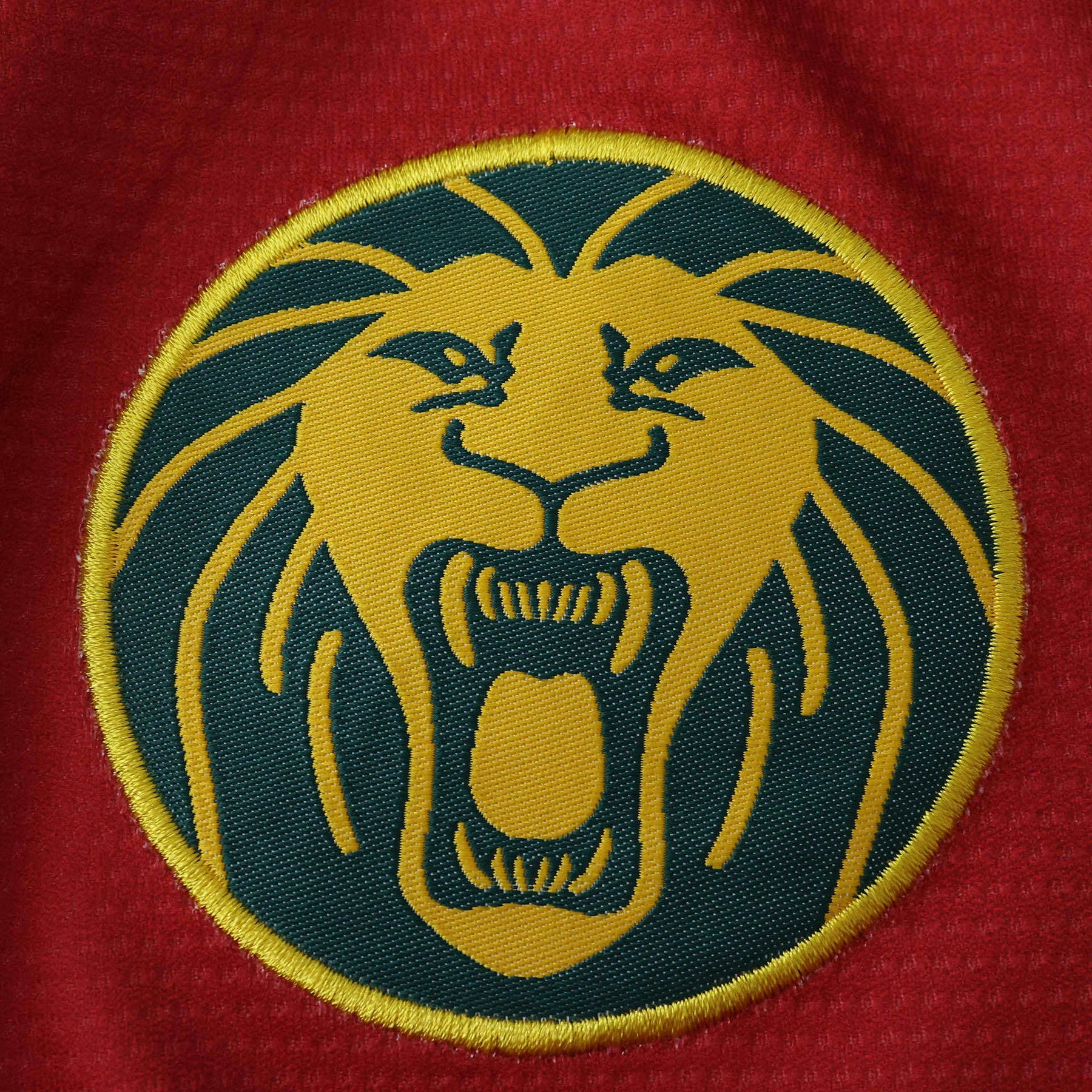 Cameroon Away Jersey 25/26