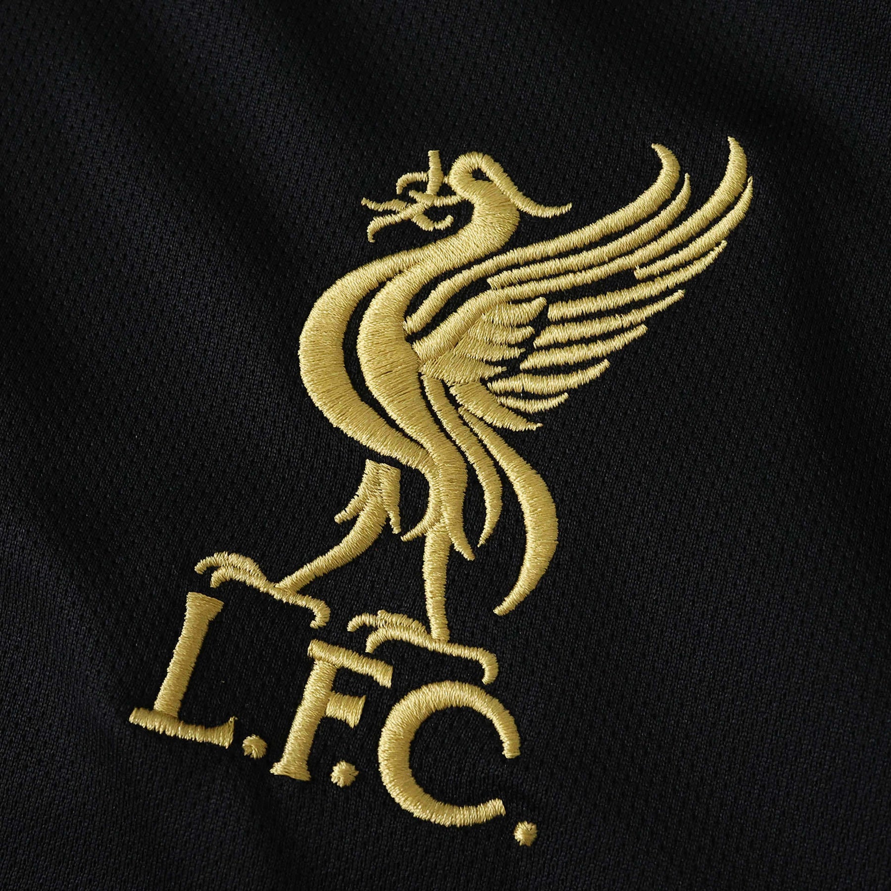 Liverpool Special Edition Black Jersey 25/26
