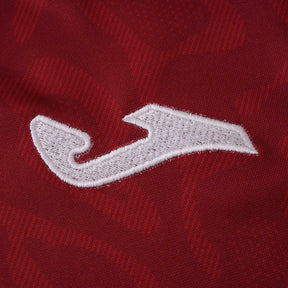 Torino Home Jersey 25/26