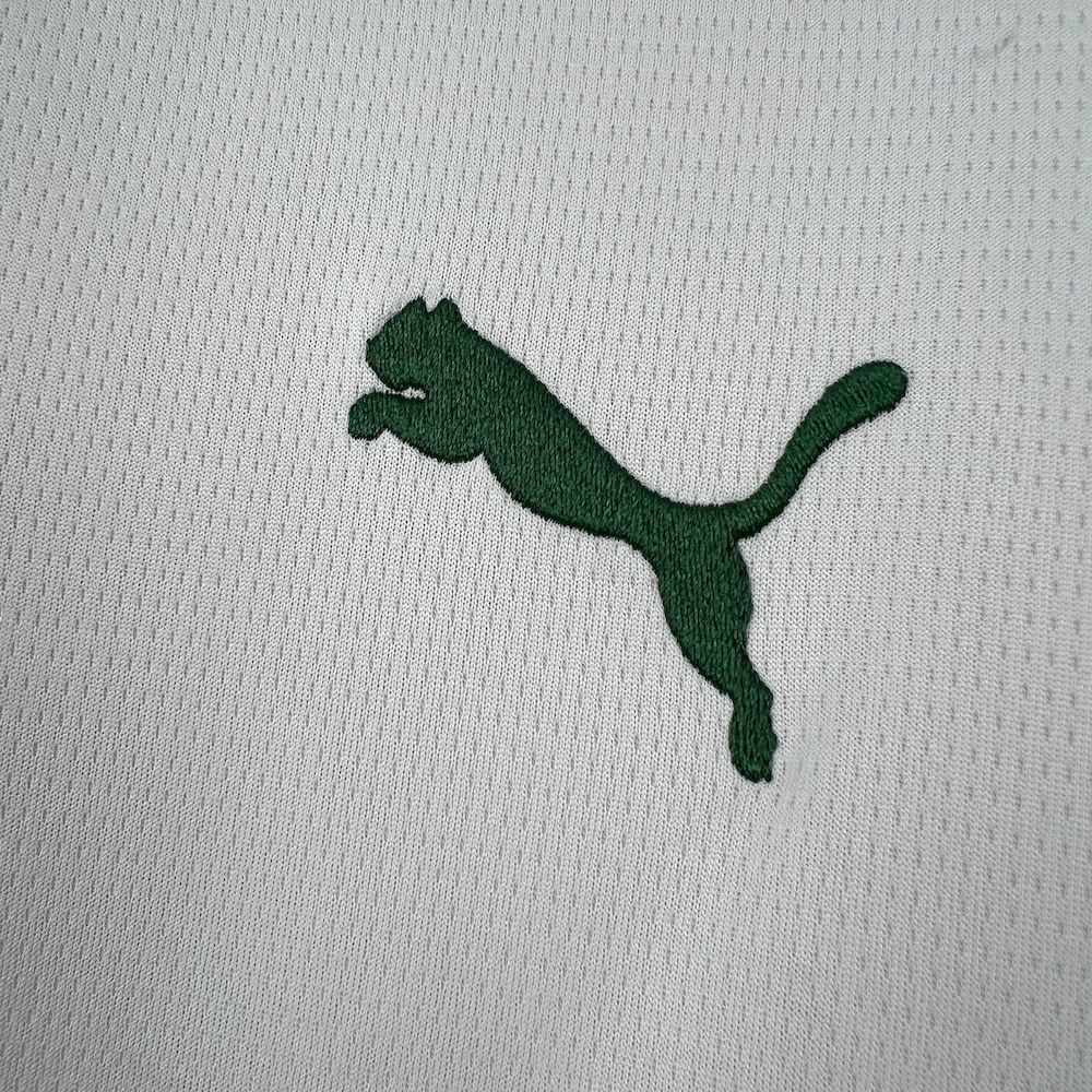 Maglia Palmeiras Away 26/27 | Maglia da Calcio