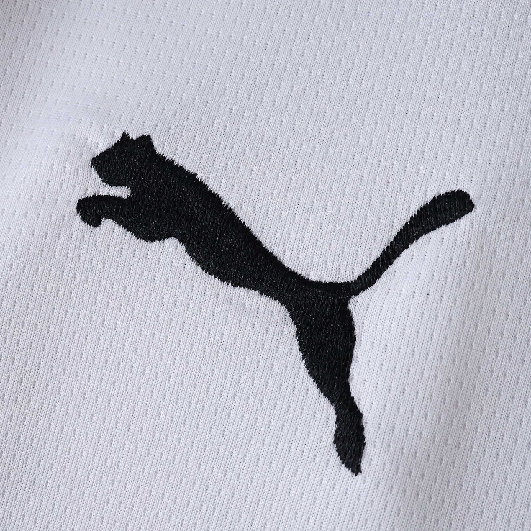 Parma Home Jersey 25/26