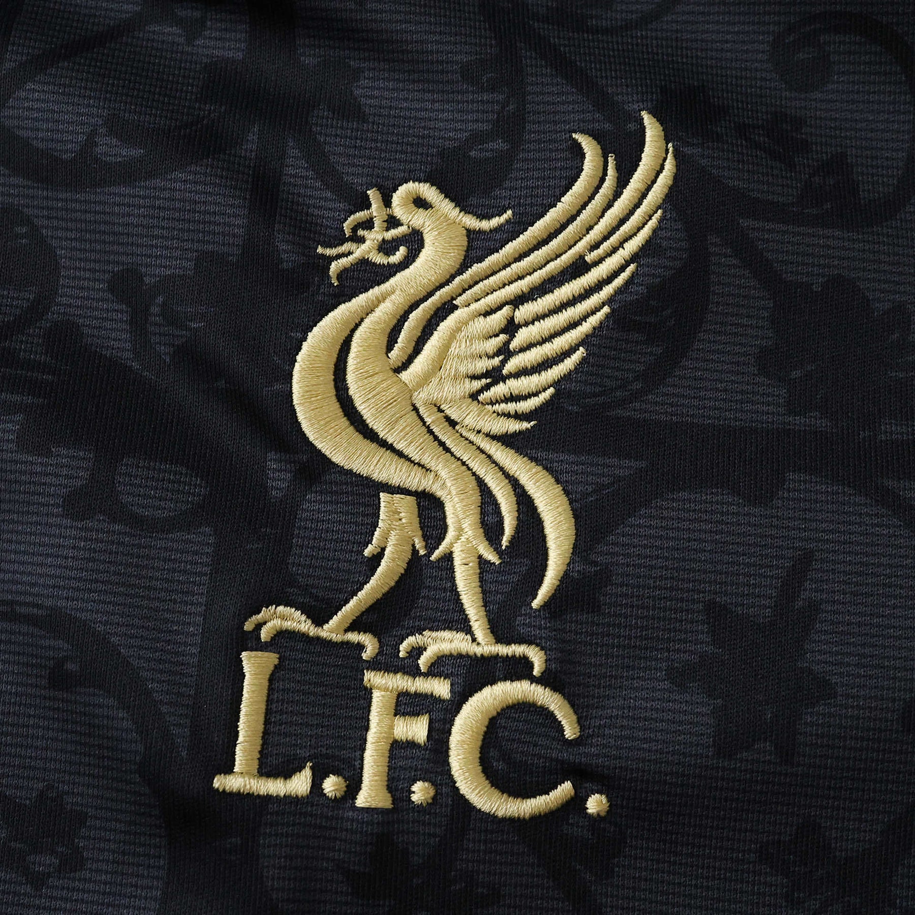 Liverpool Special Edition Black Gold Jersey 25/26