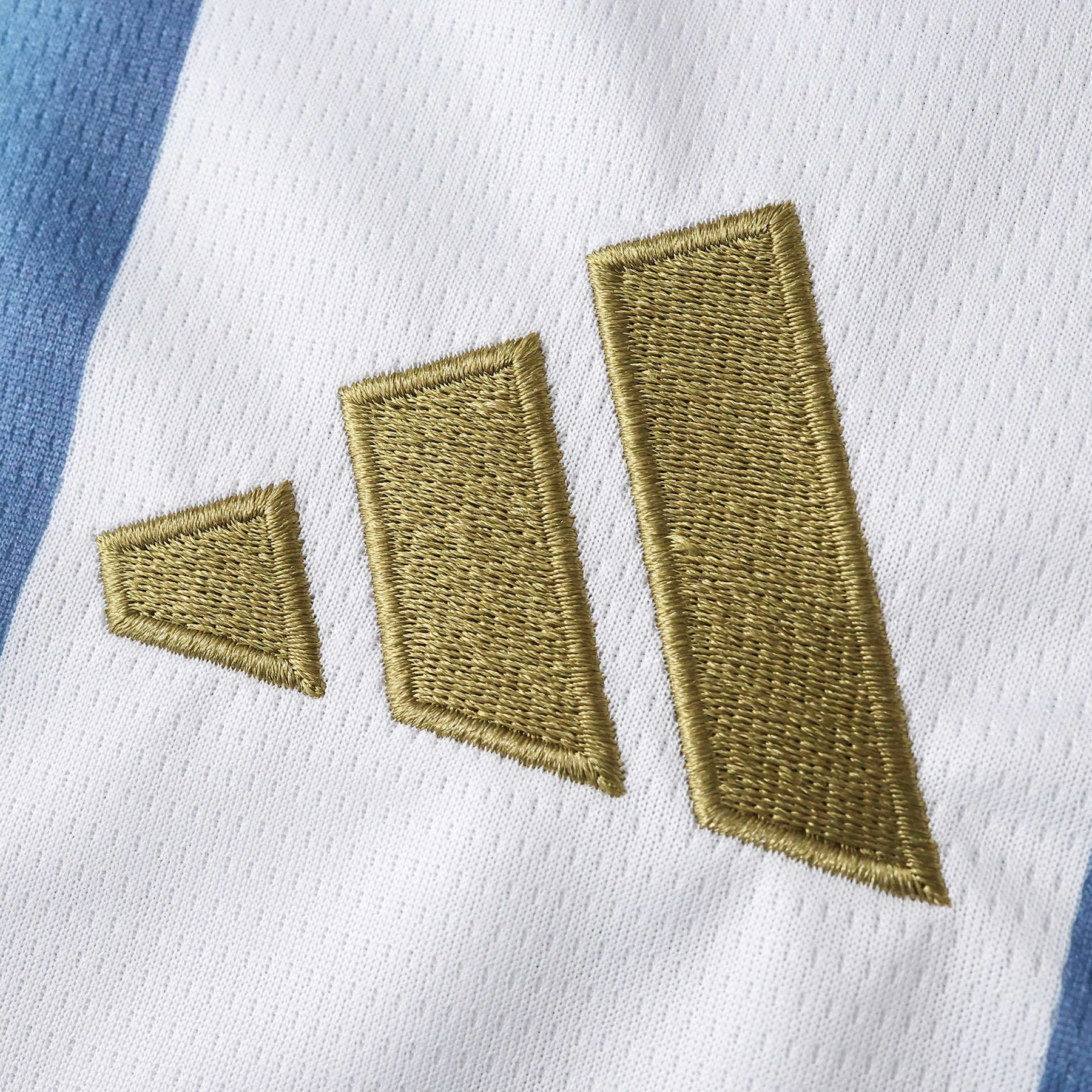 Maillot domicile de l'Argentine 2026