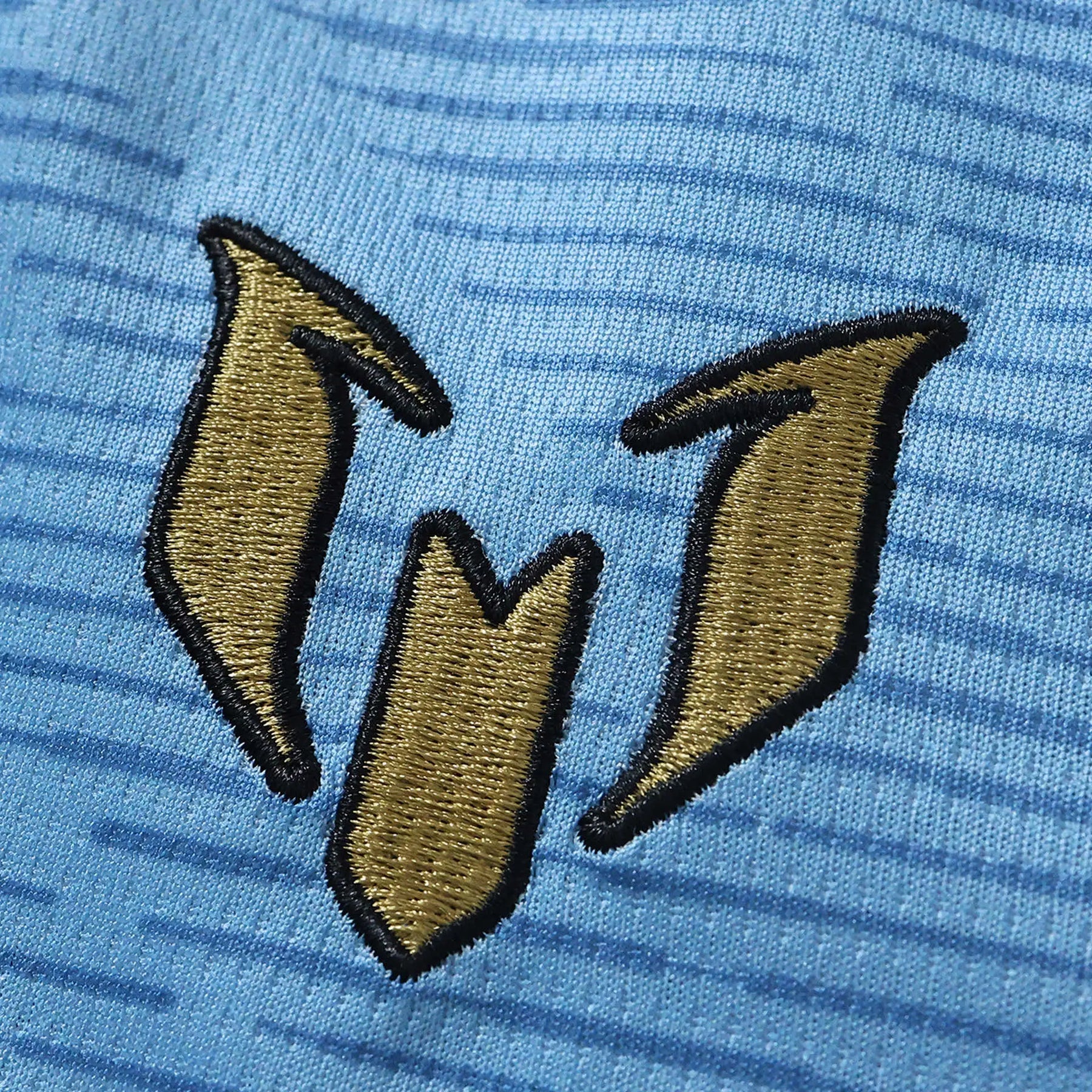 Maglia Argentina Special 26/27 Uomo Azzurro e Bianco | Maglia da Calcio