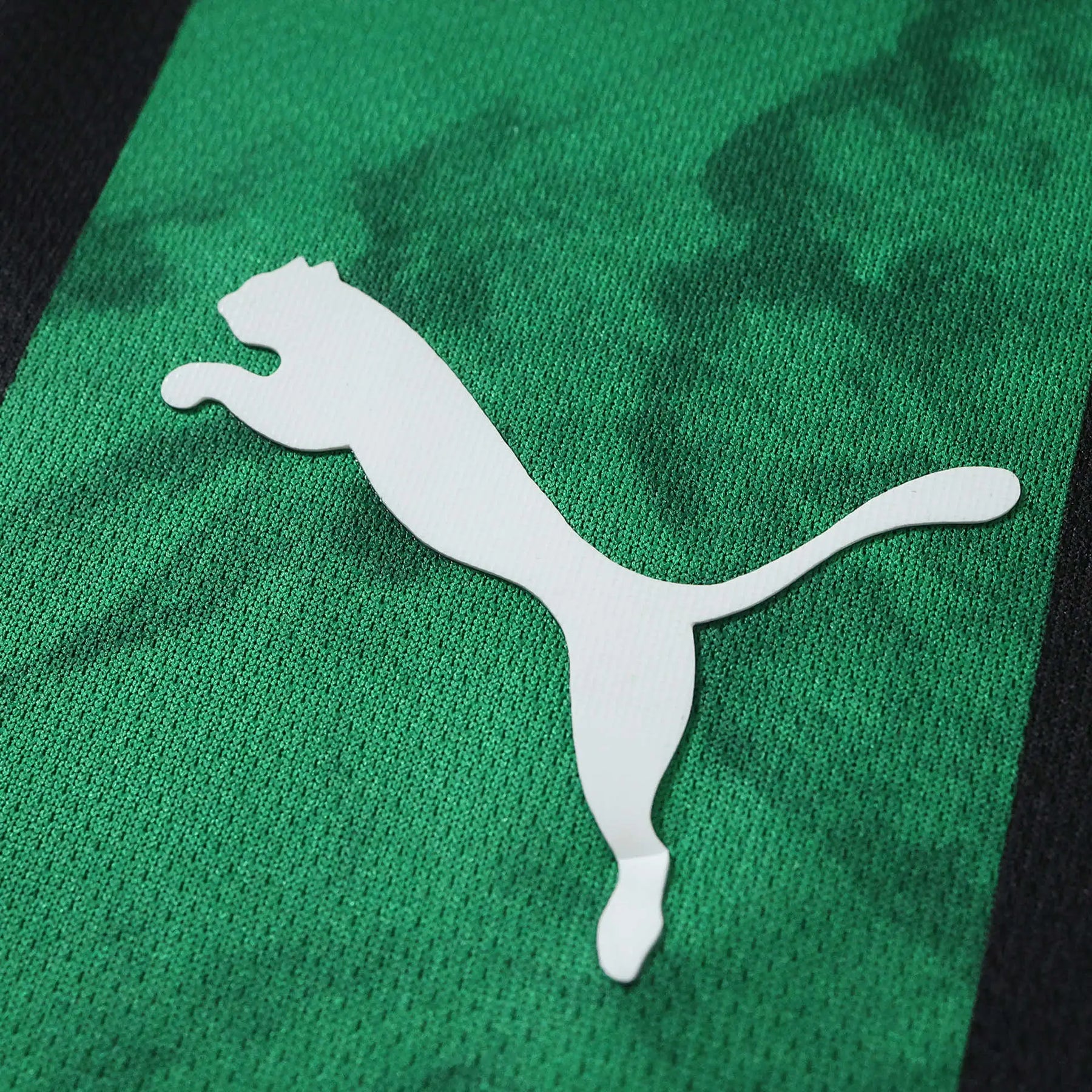 Maglia Sassuolo Home 26/27 Uomo Verde e Nero | Maglia da Calcio