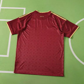 Maglia Spagna Special 2026 Uomo Rosso Bordeaux | Maglia da Calcio